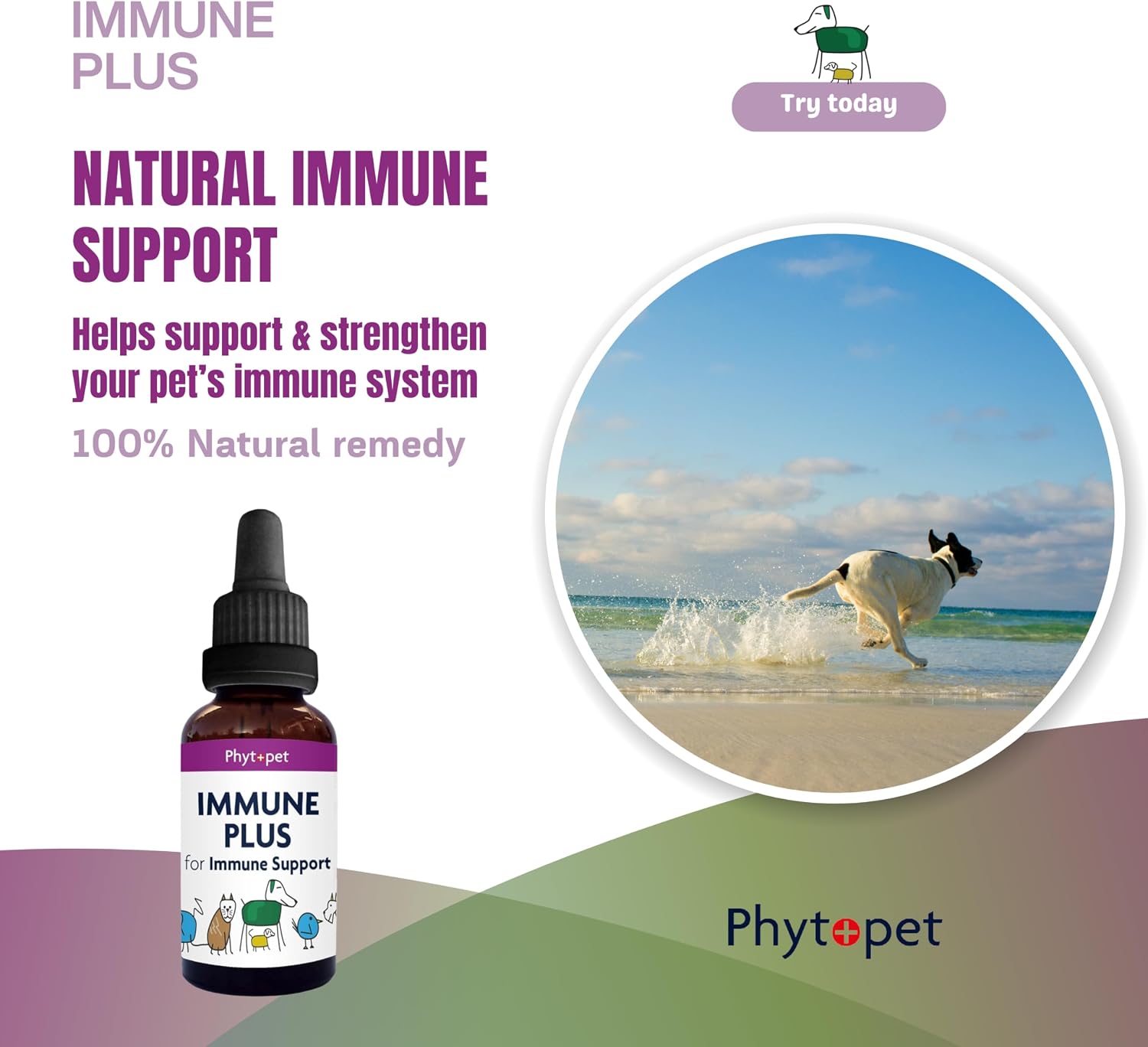 Phytopet Immune Plus - Suplemento herbal 100% natural de 30 ml para el sistema inmunitario de mascotas