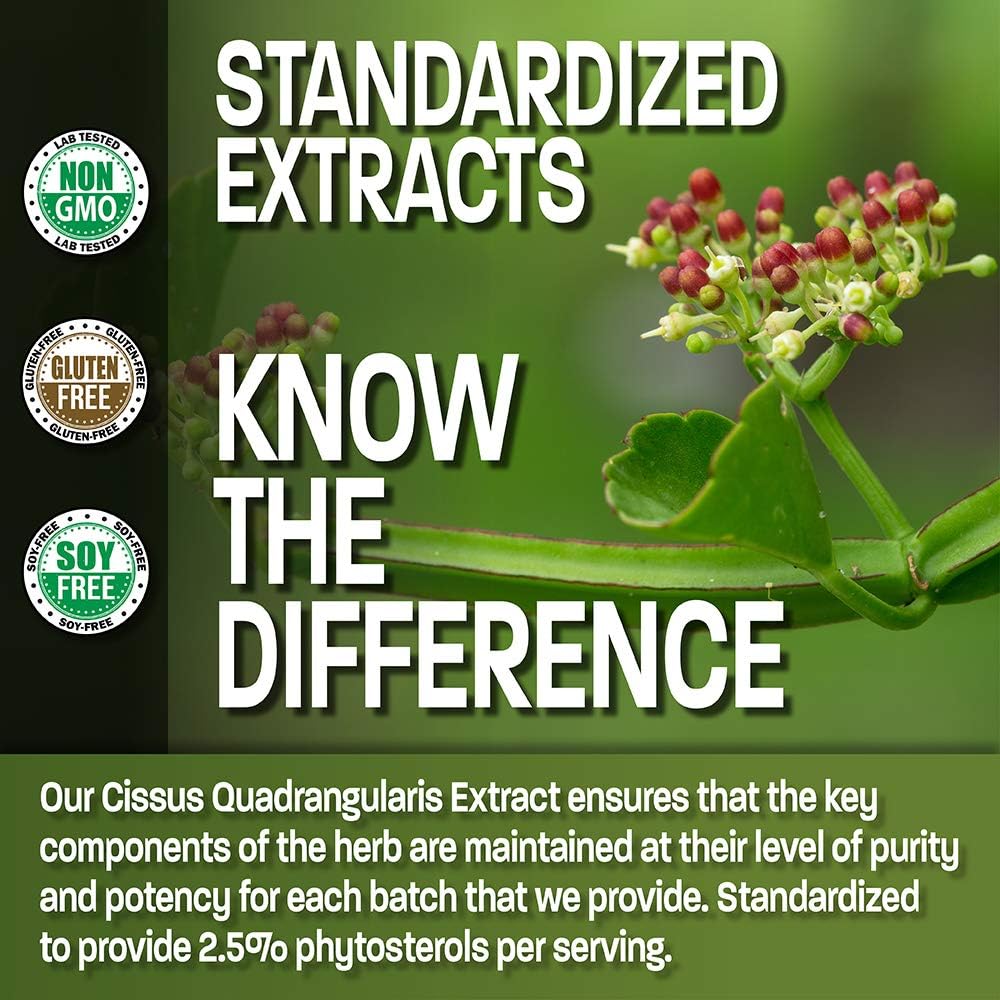 Bronson Cissus Quadrangularis Extract 1000 mg, 120 Cápsulas Vegetarianas