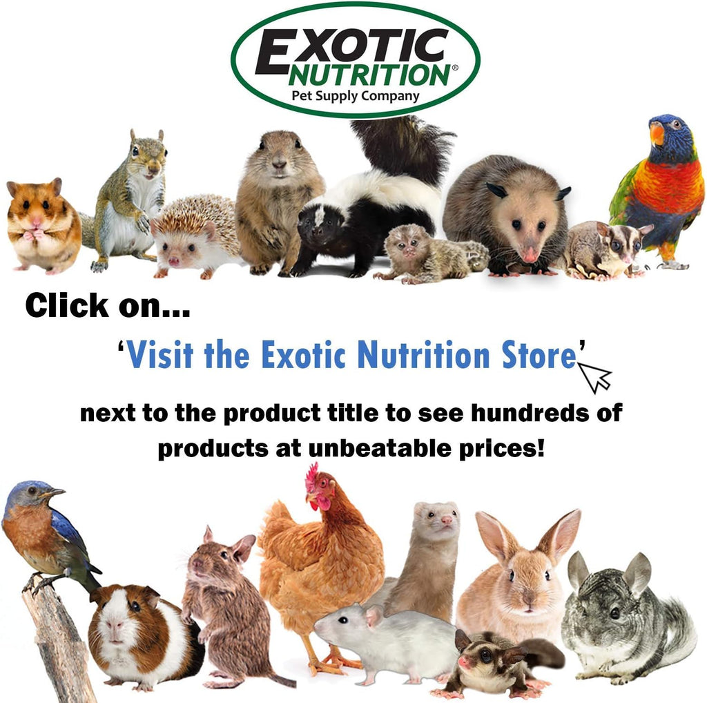 Hedgehog Booster – Multivitamínico Completo en Polvo para Erizos (2 oz)