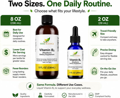 Herb-Science Vitamina B2 (Riboflavina) en – Protección antioxidante: La riboflavina contribuye a la protección de – Image 3