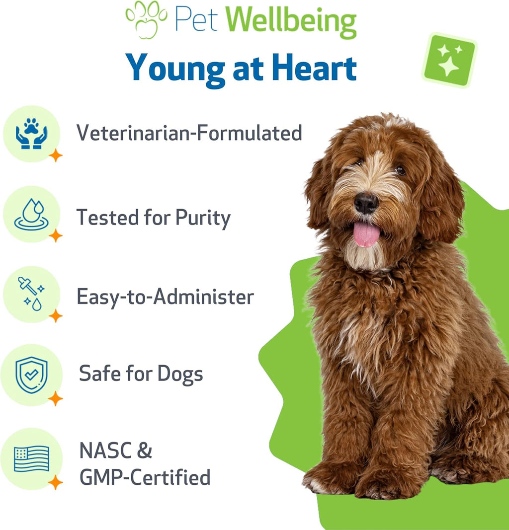Pet Wellbeing Young at Heart for Dogs - Cardiovascular Support for Senior Dogs - 59 ml Liquid Formula