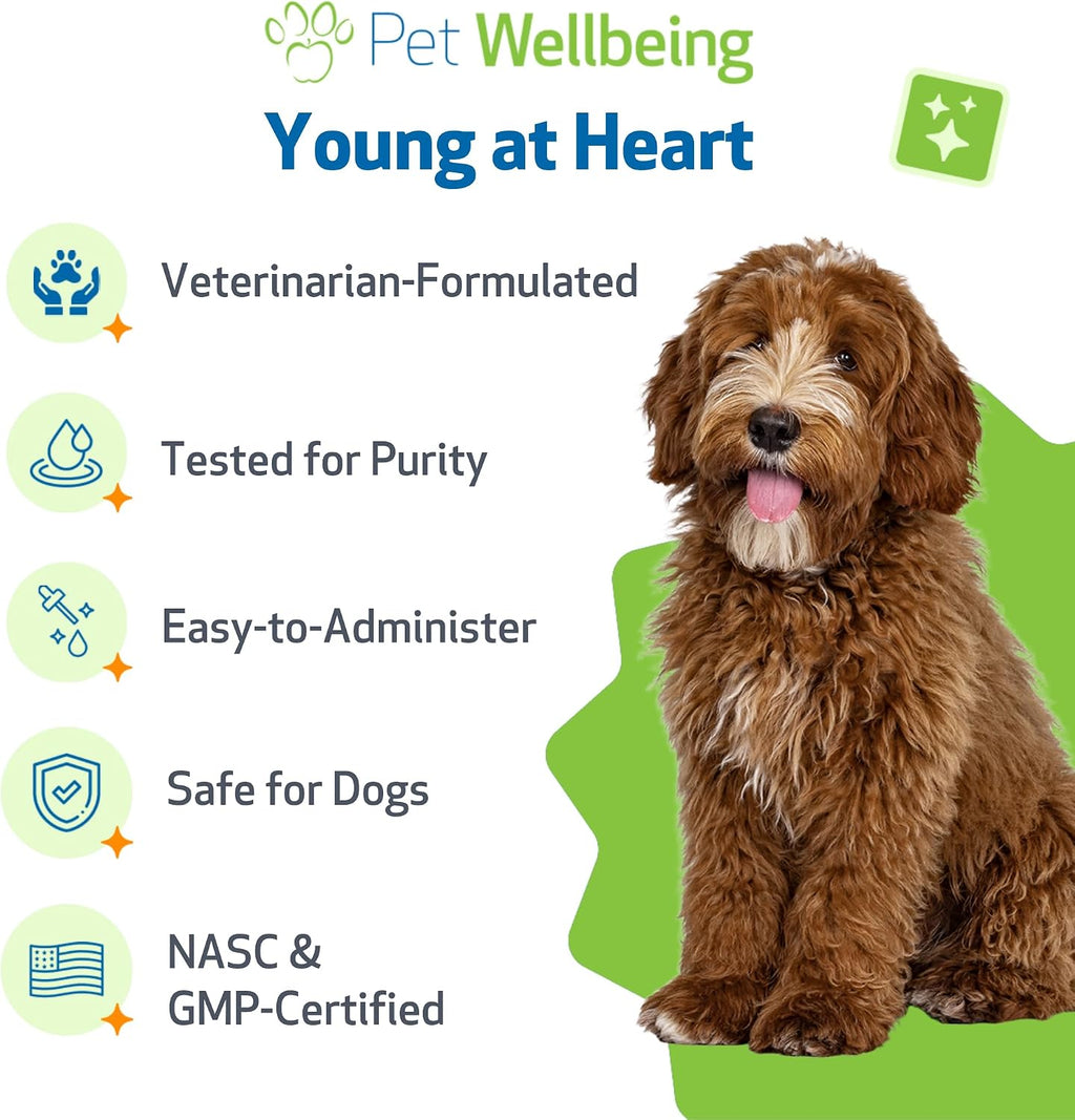 Pet Wellbeing Young at Heart for Perros – Apoyo Cardiovascular Senior – 118 ml (4 oz)