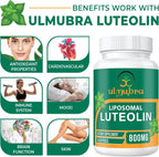 Ulmubra 800 mg Luteolina Liposomal - Suplemento Antioxidante de Alta Absorción, 60 Perlas