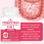 Spliferkou Tributirina para la Salud Intestinal, 60 Cápsulas Veganas