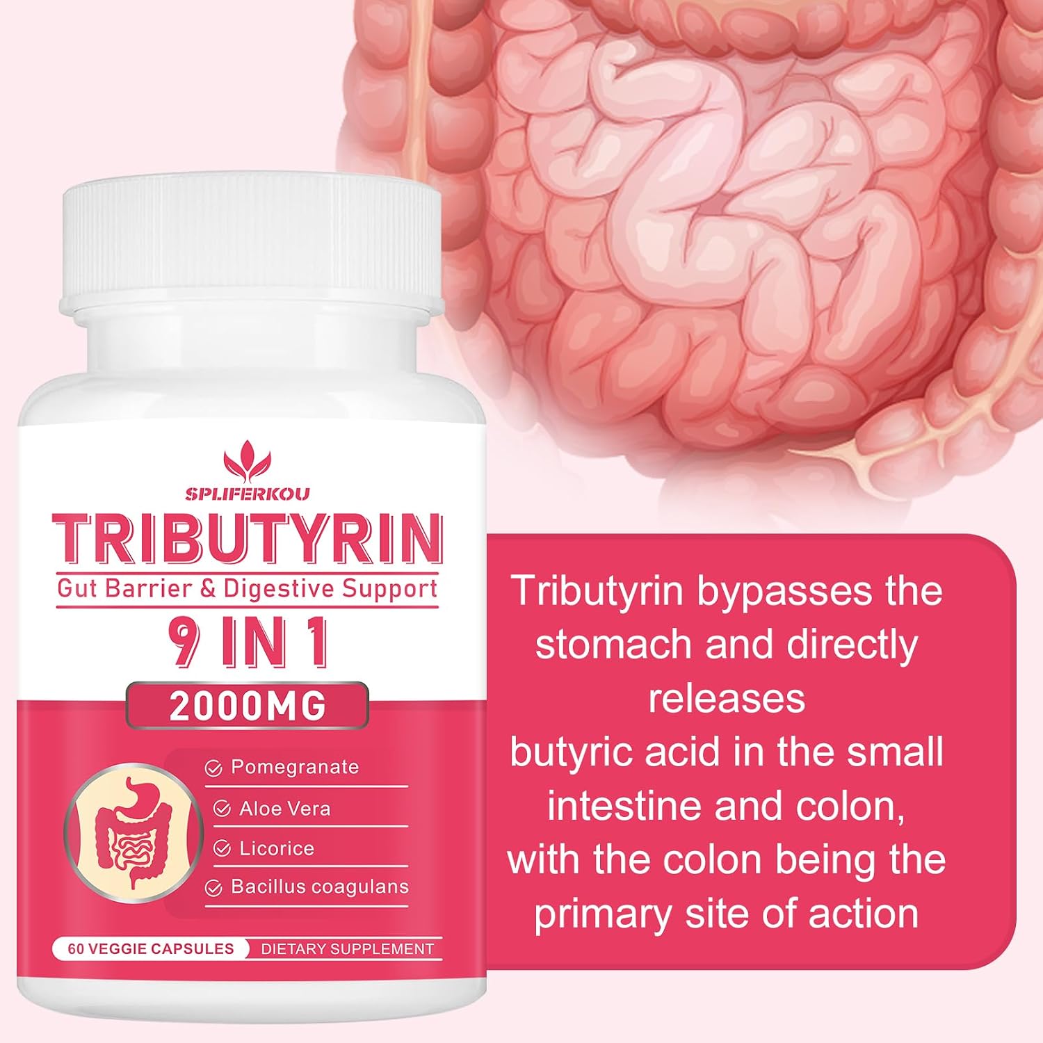 Spliferkou Tributirina para la Salud Intestinal, 60 Cápsulas Veganas