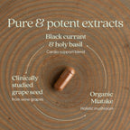 New Chapter Blood Pressure Take Care - Suplemento para la Tensión Arterial - 60 Comprimidos