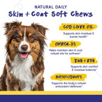 PupGrade Skin & Coat Supplement for Dogs, Duck Flavor – 60 Soft Chews | Supports Healthy Skin, Coat, and Immune Function - Rich in Natural Fish Oil, Omega Fatty Acids, and Vitamins