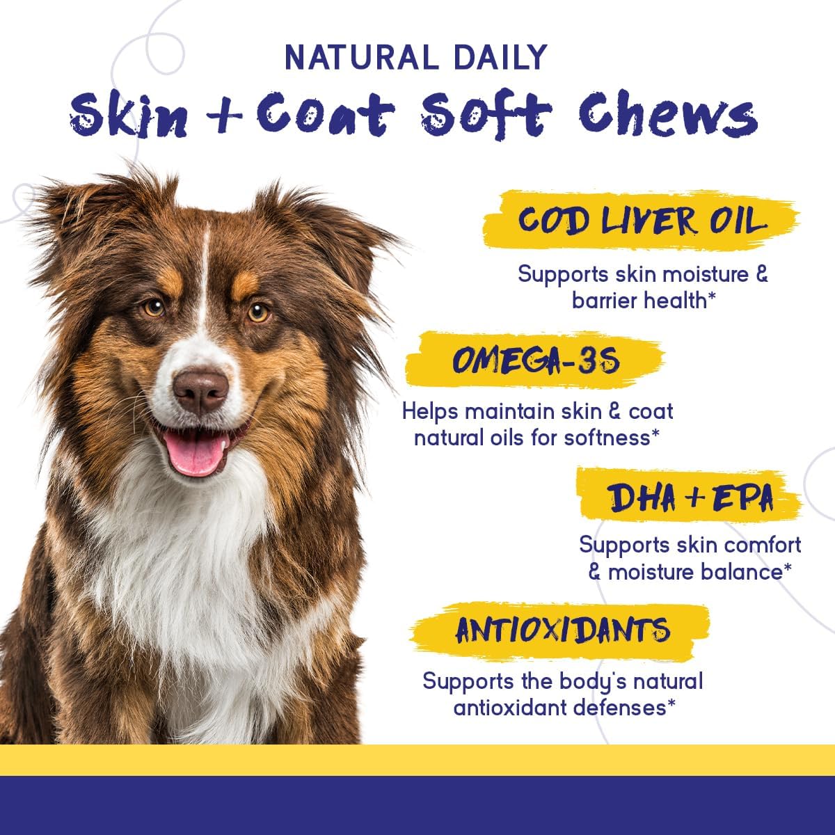 PupGrade Skin & Coat Supplement for Dogs, Duck Flavor – 60 Soft Chews | Supports Healthy Skin, Coat, and Immune Function - Rich in Natural Fish Oil, Omega Fatty Acids, and Vitamins