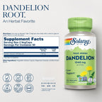 SOLARAY Dandelion Root - Kidney & Liver Support Supplement - 1,040 mg Per Serving - Vegan - 100 VegCaps