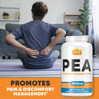Harvest Naturals Palmitoylethanolamida (PEA) 400mg, 60 Cápsulas