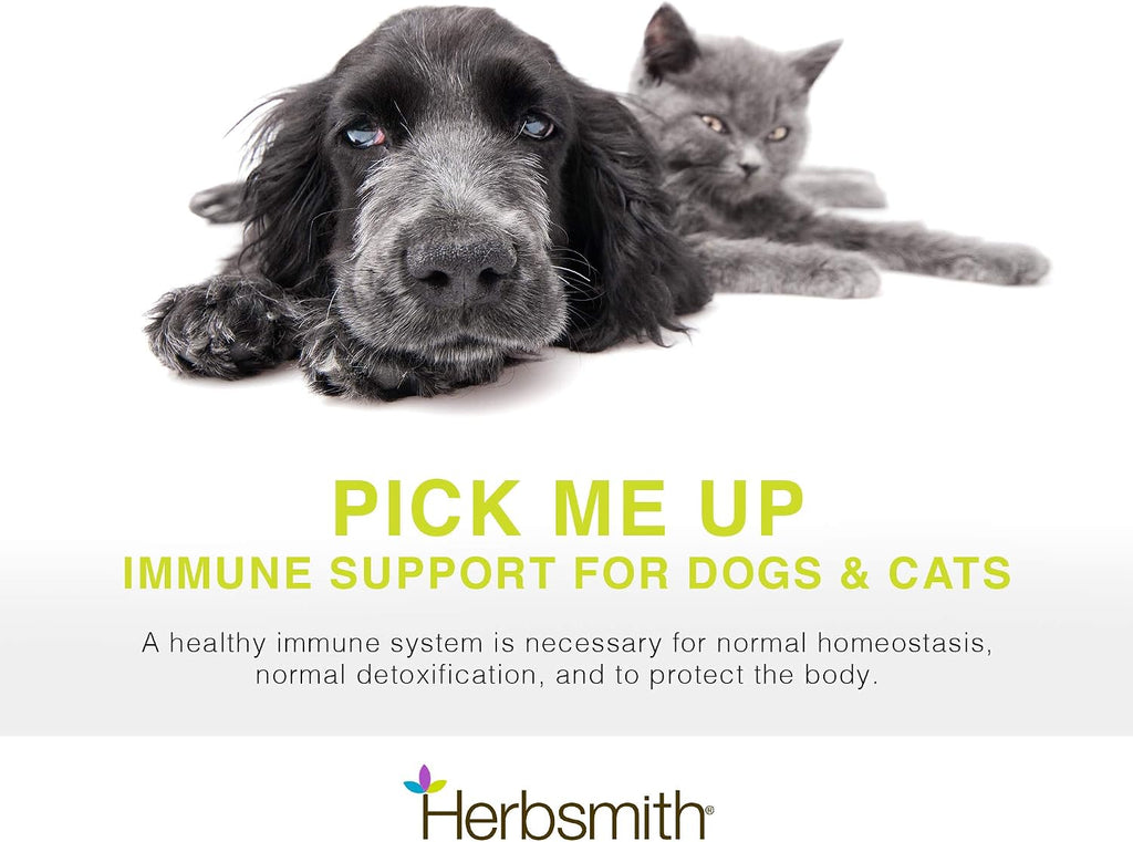 Herbsmith Immune Support - 75g Polvo