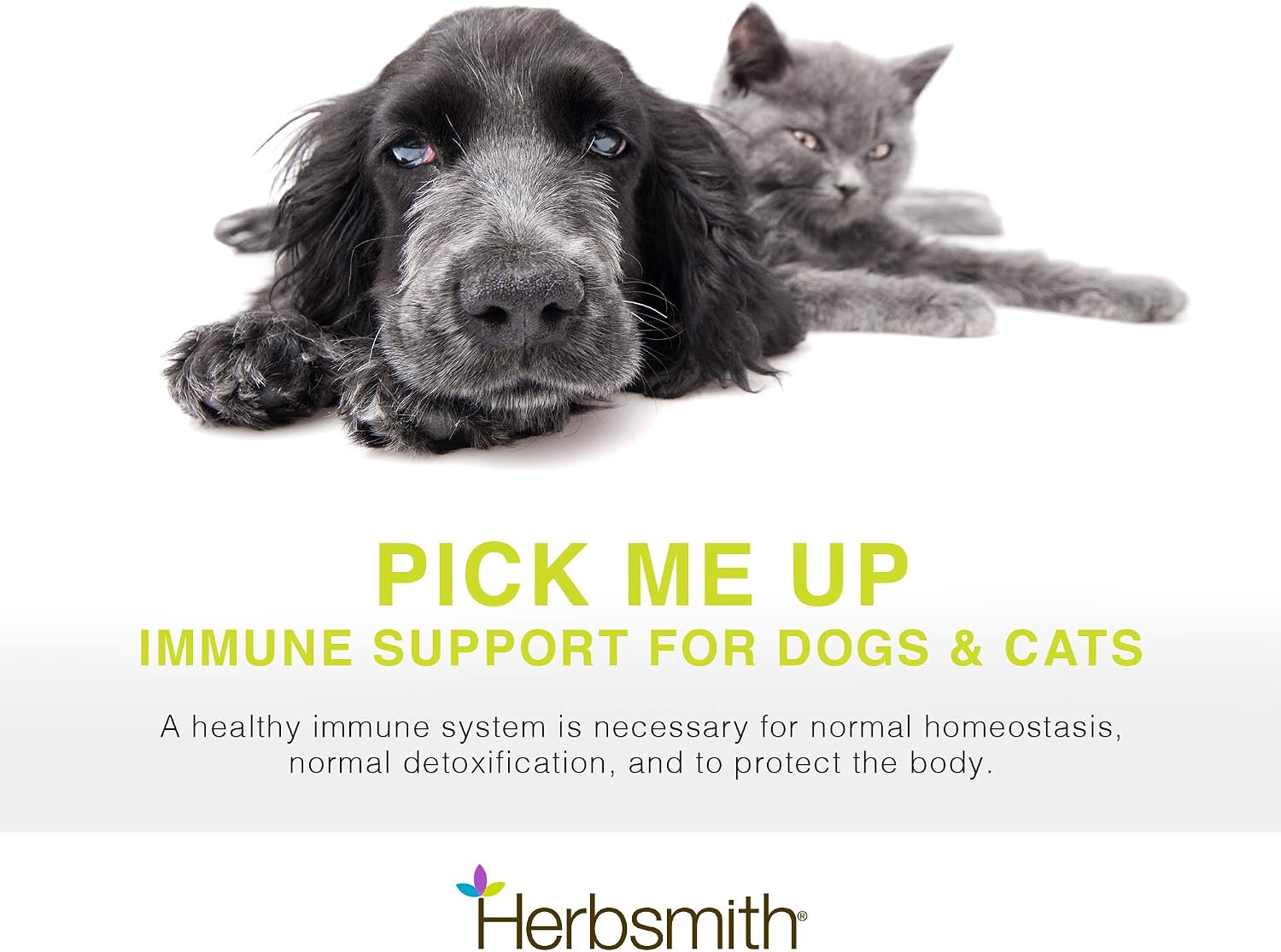 Herbsmith Immune Support - 75g Polvo