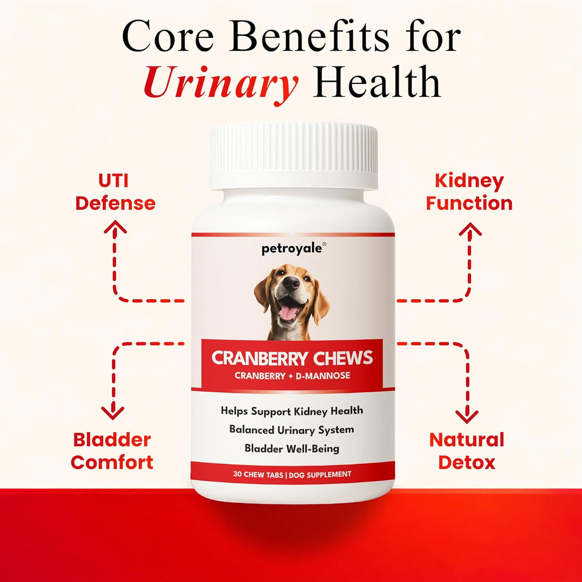 Petroyale Cranberry Chews para Perros – Apoyo Urinario y Renal – 30 Snacks Blandos – Image 3