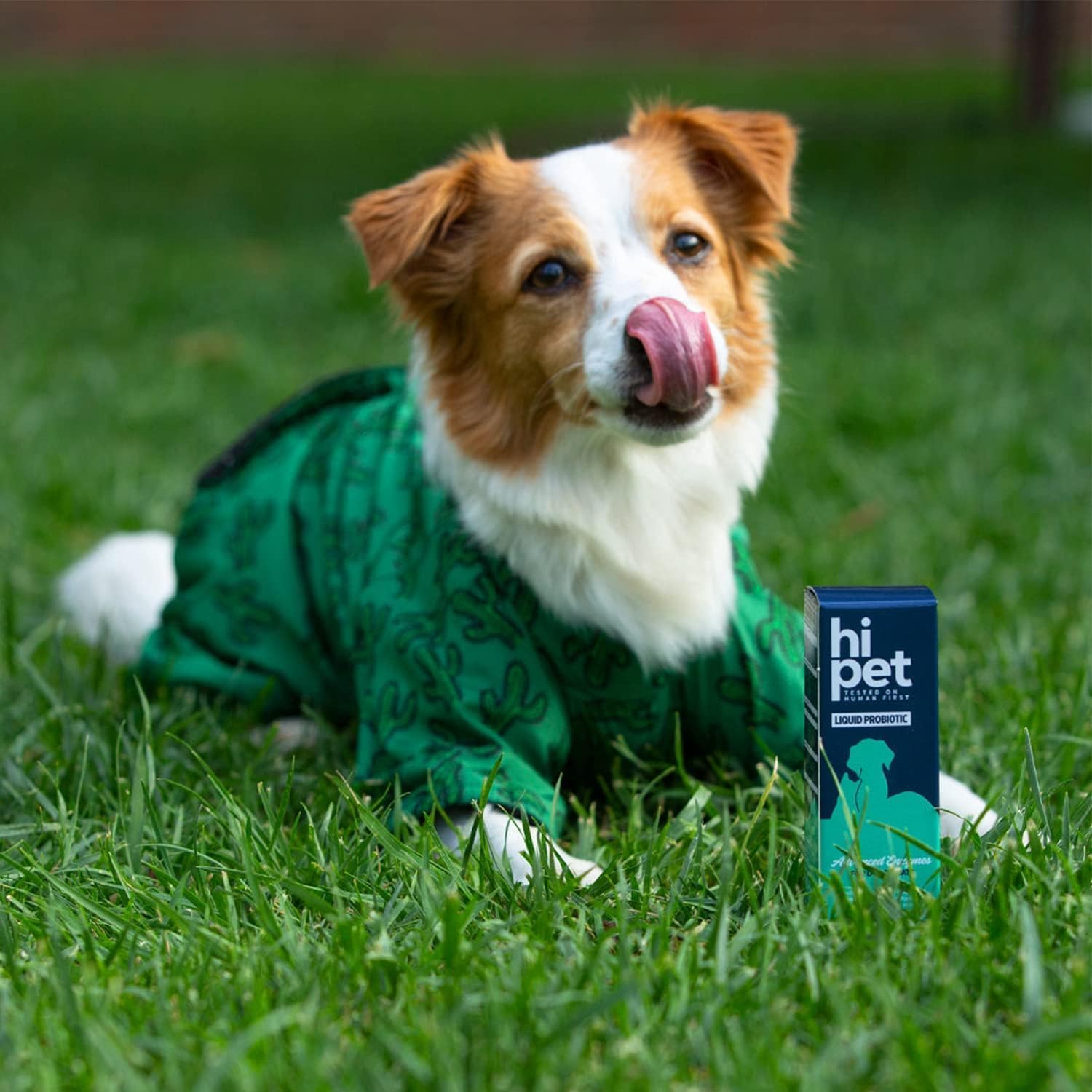 HiPet Probióticos Líquidos para Perros y Gatos - 13 Mil Millones UFC/ml - Fórmula Sin Lactosa - 50 ml