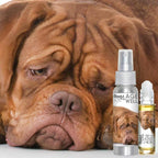 The Blissful Dog Age Well Spray Aromaterapia para Perros Dogue de Bordeaux