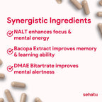 Focus Plus Cognitive Performance Enhancer | con N-Acetil L-Tirosina, DMAE Bitartrato, GABA, Ácido Glutámico | Potencia el Enfoque, Mejora la Memoria, Apoya la Salud Cerebral | 60 Cápsulas | 30 Días