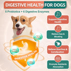 Multivitamínico para Perros DRFOSTER - 180 Bocados Sabor Pollo
