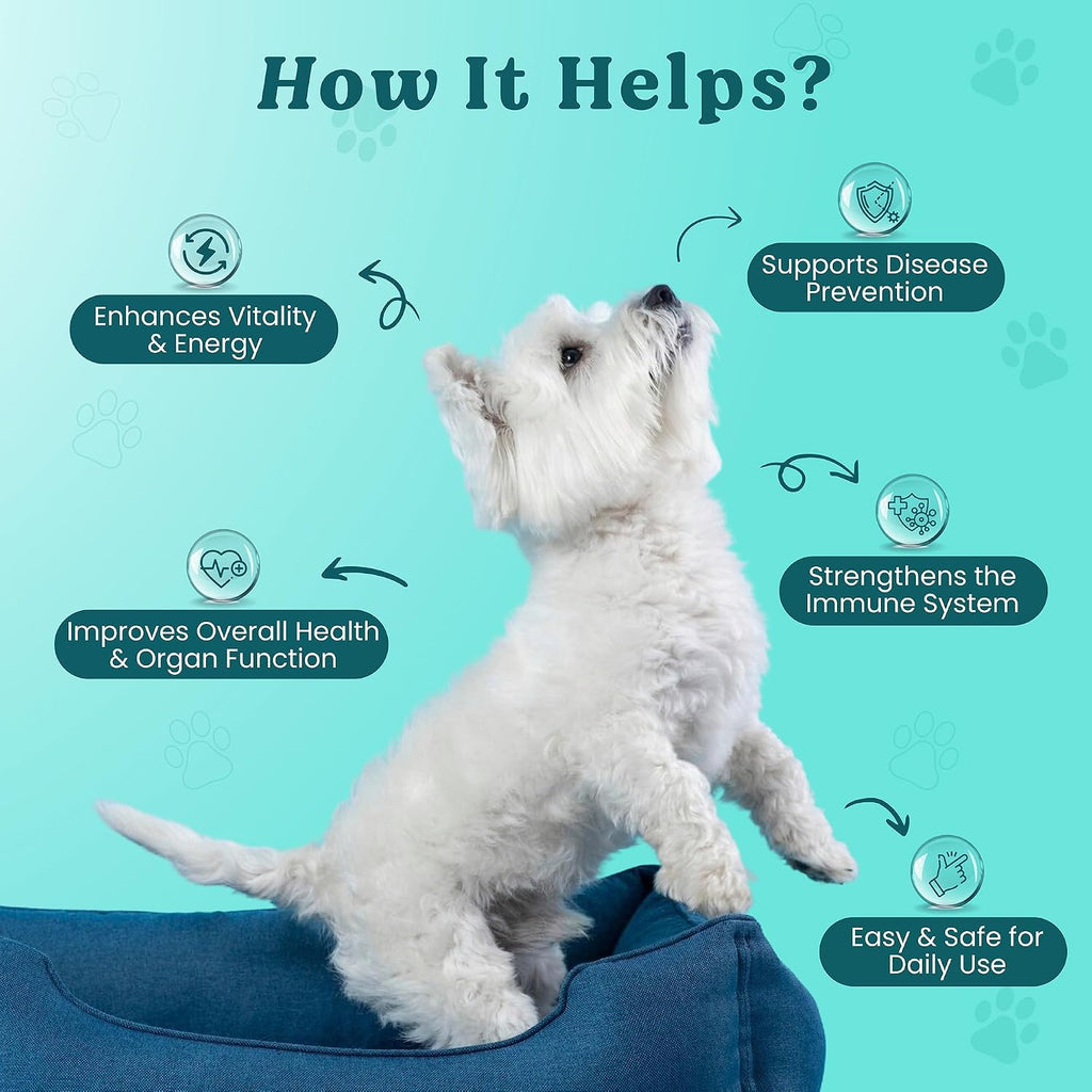 Doggie Herbs High Potency Immune Support – Fórmula de Cuidados Críticos con Setas Turkey Tail, Reishi y Hierbas TCM – Polvo Formulado por Doctor para Recuperación, Vitalidad y Salud Celular – 100g