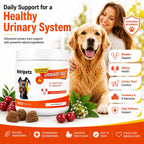 120 Cranberry Supplement for Dogs - Bladder Control for Dogs - Urinary Tract Support - Vitamin B6 & L-Arginine - Cranberry Chews with D-Mannose - Immune & Gut Support