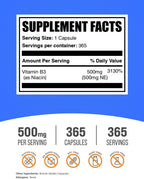 Niacina 500mg Cápsulas - Suplemento de Vitamina B3 (365 Cápsulas)