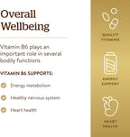 Solgar Vitamina B-6 100 mg - 100 Tabletas