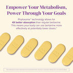 BariMelts Berberine Phytosome 550mg – 60 Caplets Recubiertos