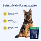 Honest Paws Probióticos para perros - Apoyo digestivo e inmunitario con prebiótico, 30 sticks