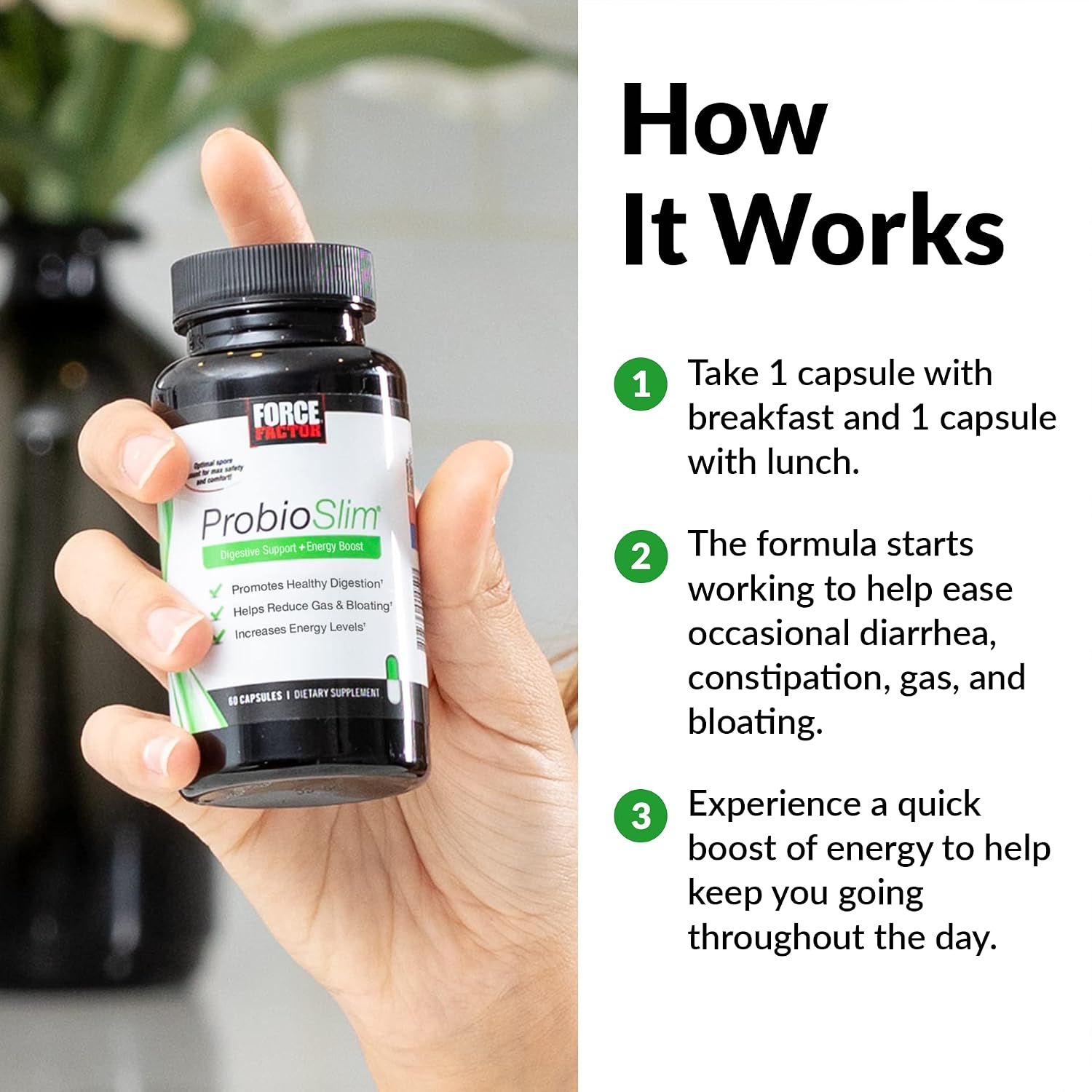 Force Factor ProbioSlim Probiótico con Extracto de Té Verde, 120 Cápsulas (2 Envases)