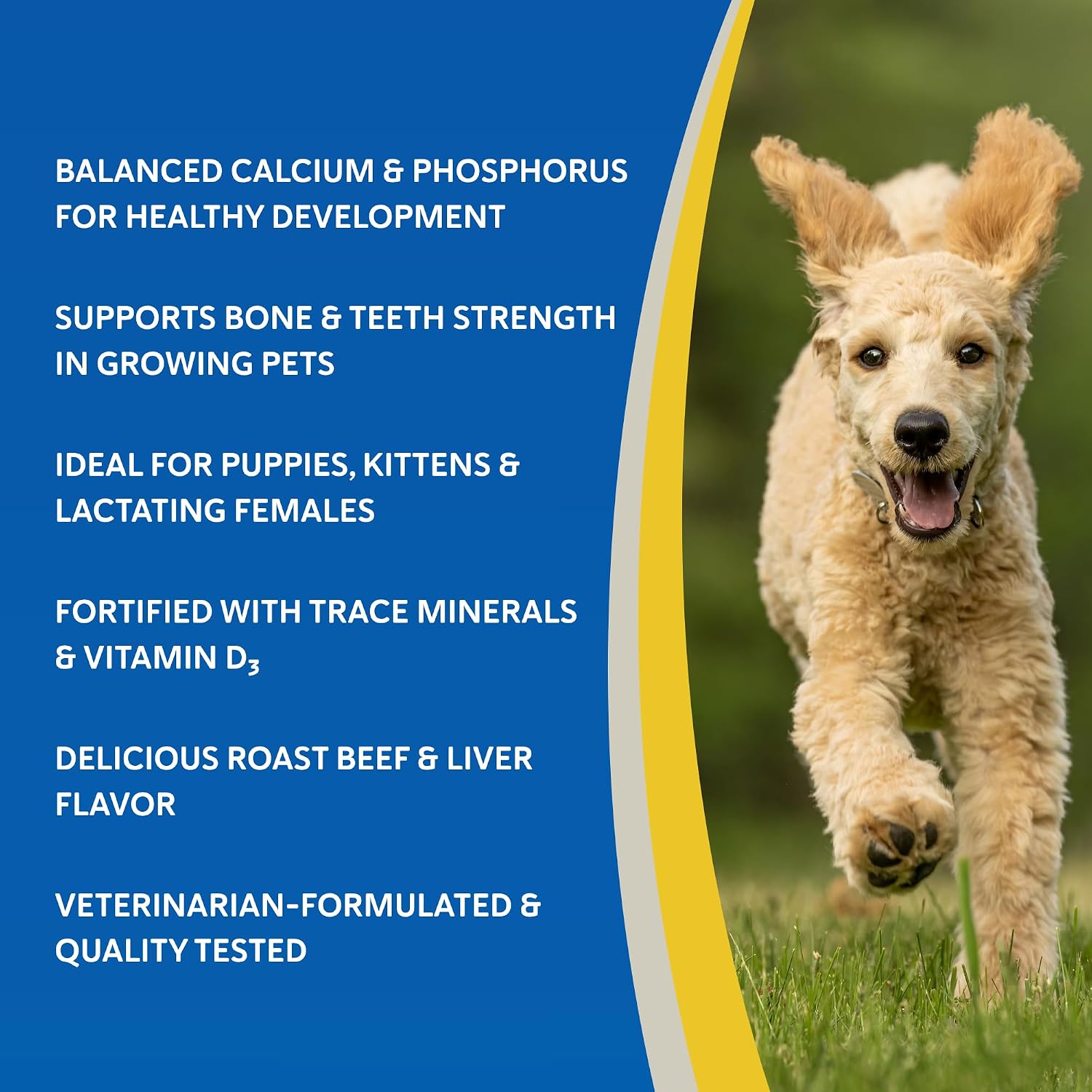 Doc Roy’s Healthy Bones Suplemento de Calcio y Fósforo para Cachorros, Perros, Gatos y Hembras Lactantes – 100 Comprimidos Masticables Sabor Roast Beef e Hígado