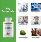 Paradise Herbs Graviola, Extracto de Hoja de Graviola, Superalimento Antioxidante Guanábana, Extracto de Espectro Completo, Ultra Puro, Vegano, No OGM, Sin Gluten, 60 Cápsulas Vegetarianas