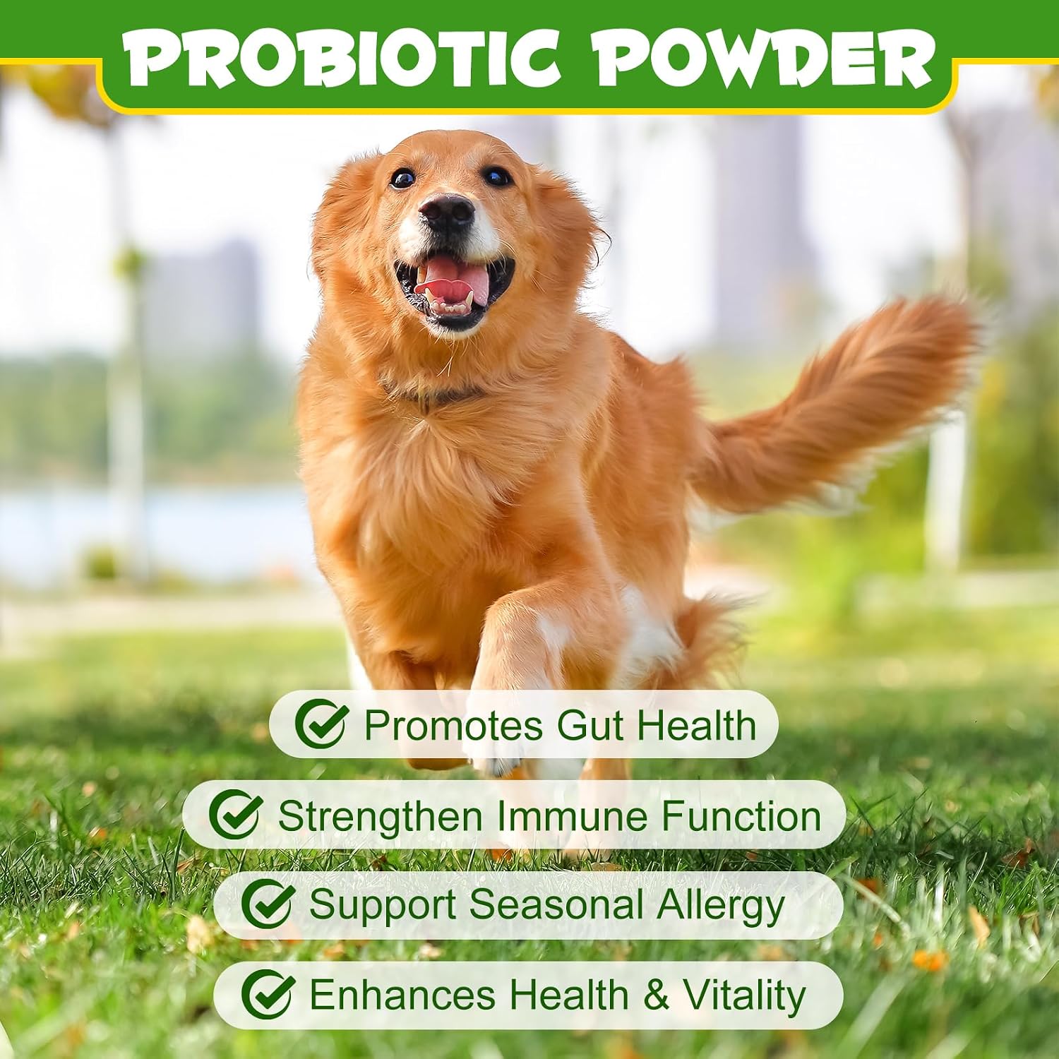 Probióticos en Polvo para Perros - Suplemento Digestivo con Prebióticos y Enzimas - 120 Dosis