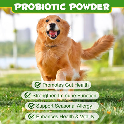 Probióticos en Polvo para Perros - – Salud digestiva: Favorecen la digestión normal y ayudan a mantener la – Image 9
