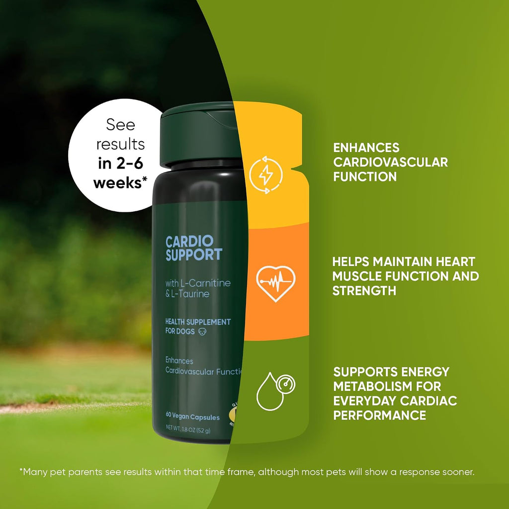 Rooted Owl® Cardio Support para Perros - L-Carnitina y Taurina - 60 Cápsulas Veganas