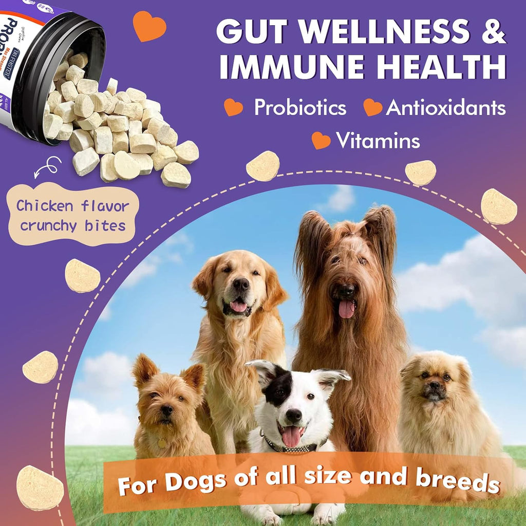 Probióticos para Perros Liofilizados con Enzimas Digestivas y Omega-3, 120 Bocados