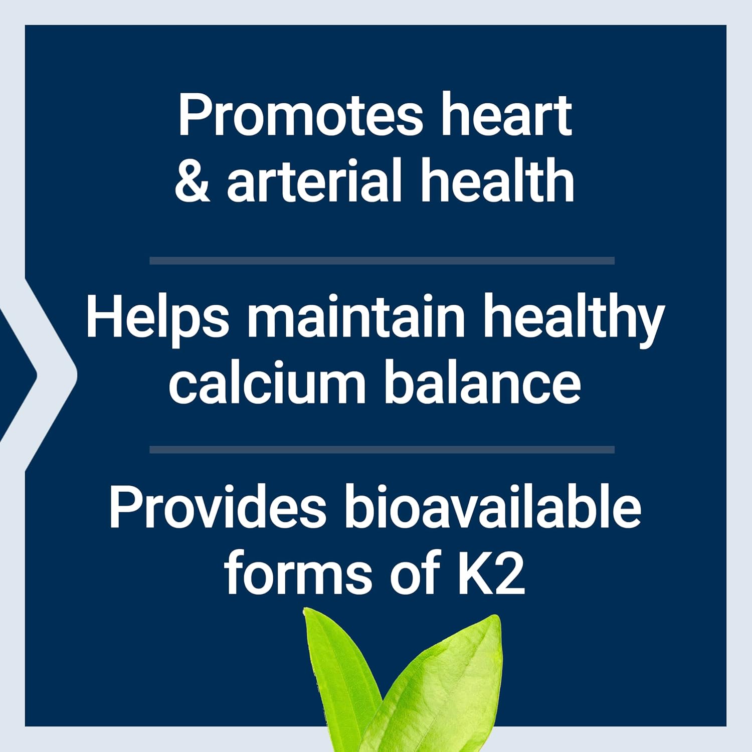 Life Extension Super K - Complejo de Vitamina K1 y K2, 2000 mcg K1 y 1180 mcg K2, 90 Cápsulas Blandas