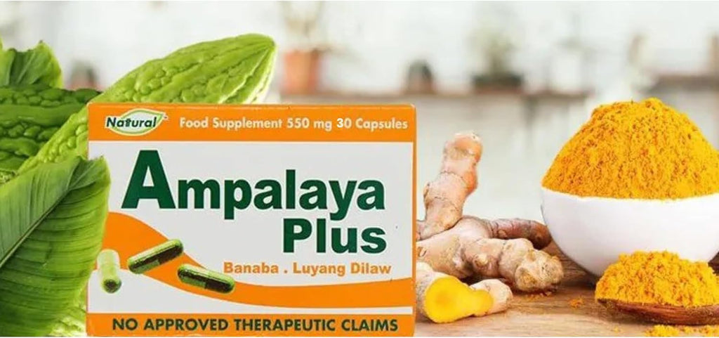 Pack de 4 Ampalaya Plus Suplemento 550mg - Total 120 Cápsulas - Natural y Vegano - Cápsulas Orgánicas de Melón Amargo - Suplemento Alimenticio Herbal Halal