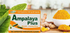Pack de 4 Ampalaya Plus Suplemento 550mg - Total 120 Cápsulas - Natural y Vegano - Cápsulas Orgánicas de Melón Amargo - Suplemento Alimenticio Herbal Halal