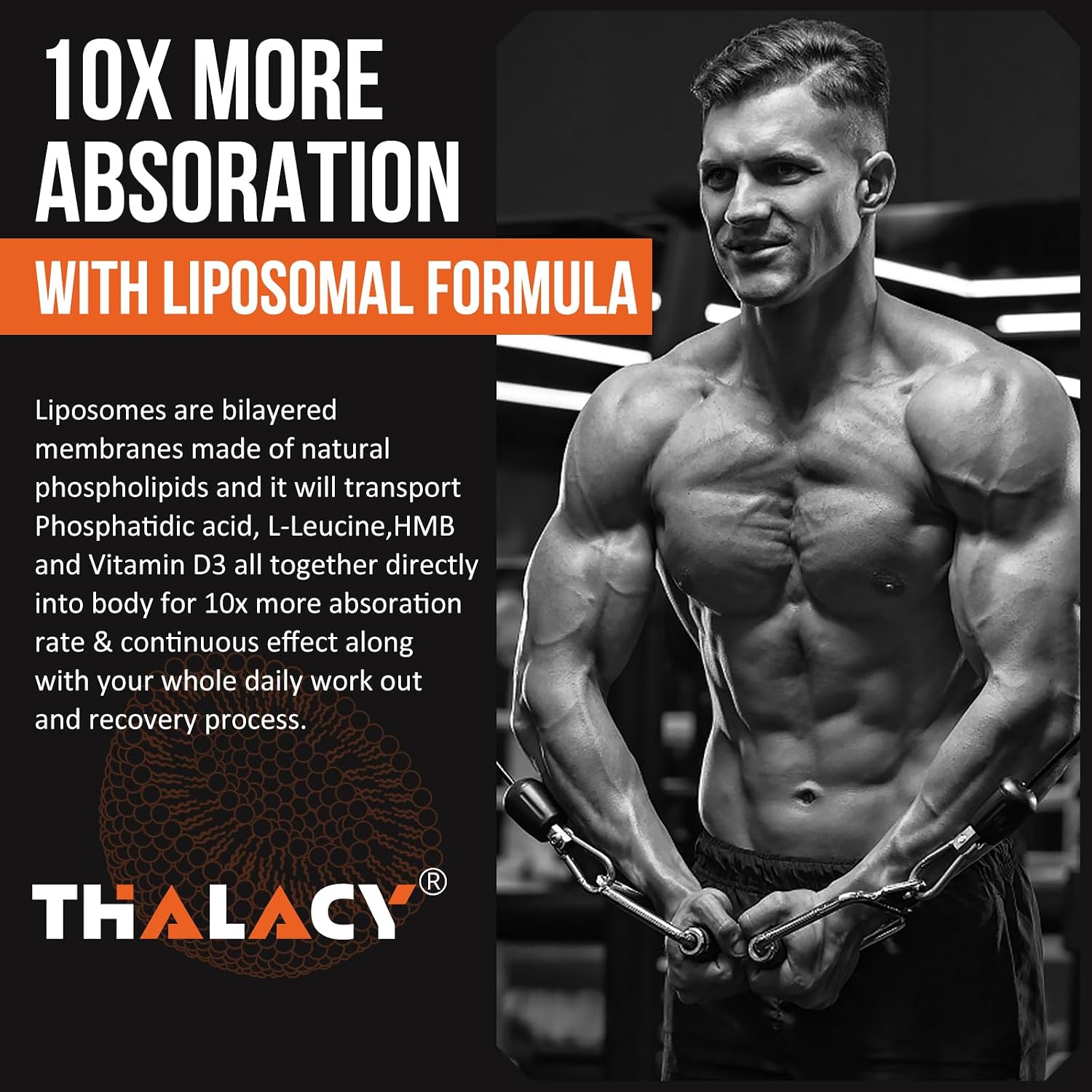 Thalacy 2000mg Ácido Fosfatídico Liposomal - Constructor Muscular, 60 Cápsulas