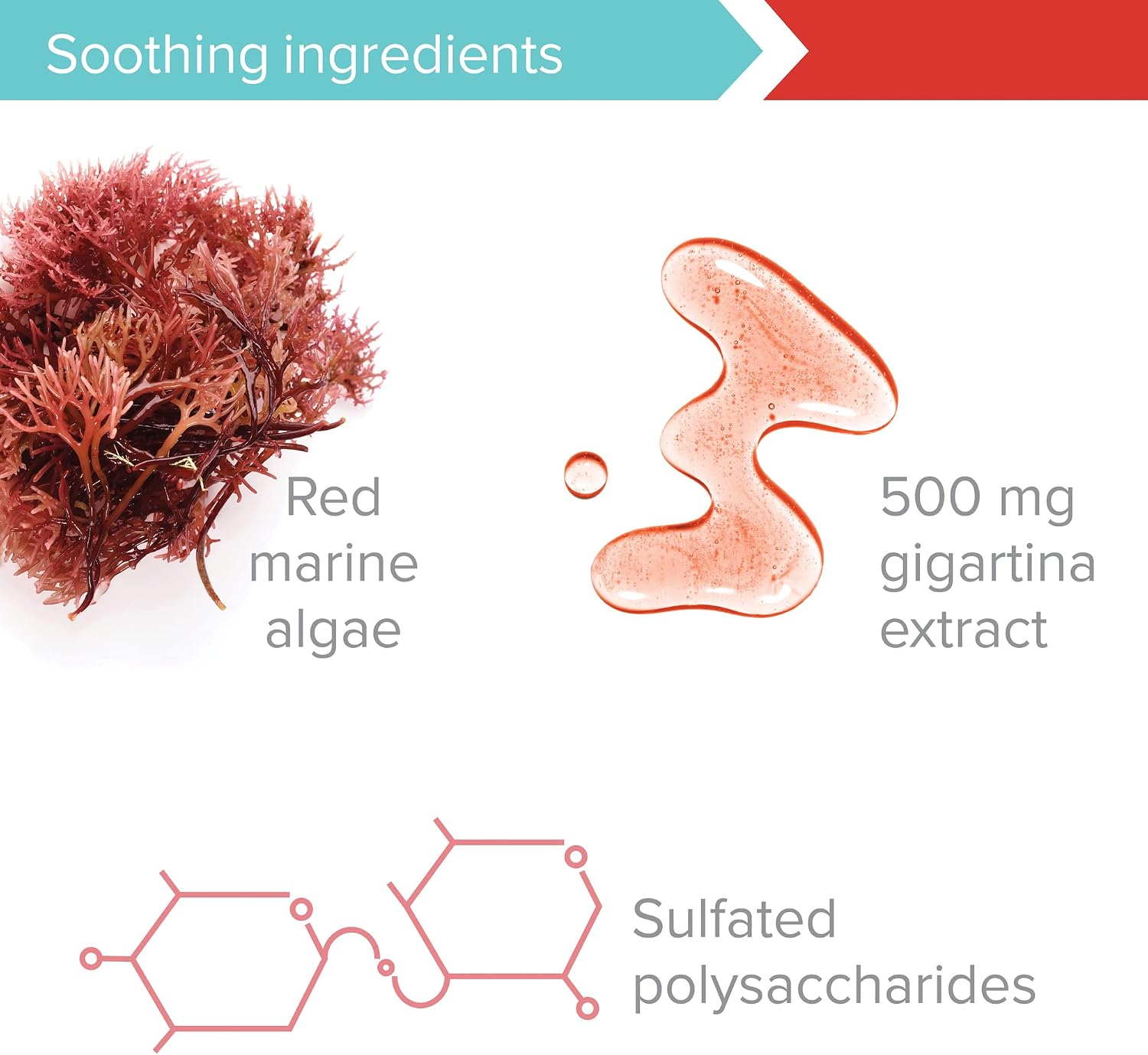 Gigartina Red Marine Algae – Apoyo Inmunitario, 60 Cápsulas