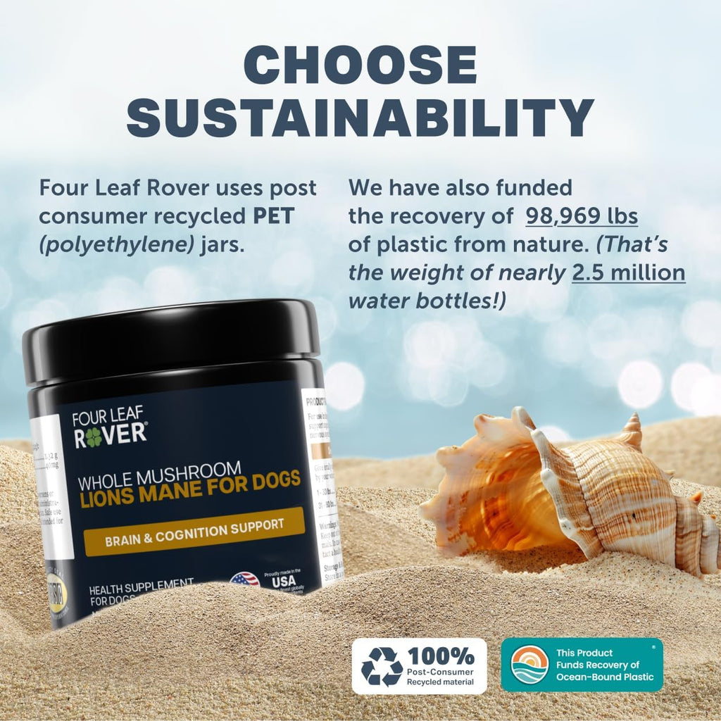 Lion's Mane para Perros – Setas Orgánicas Enteras – Apoyo Cognitivo Natural – 60 Días (Suministro para Perros Grandes)