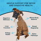 Animal Essentials Body Cleanse Liver Support para Perros y Gatos, 59 ml