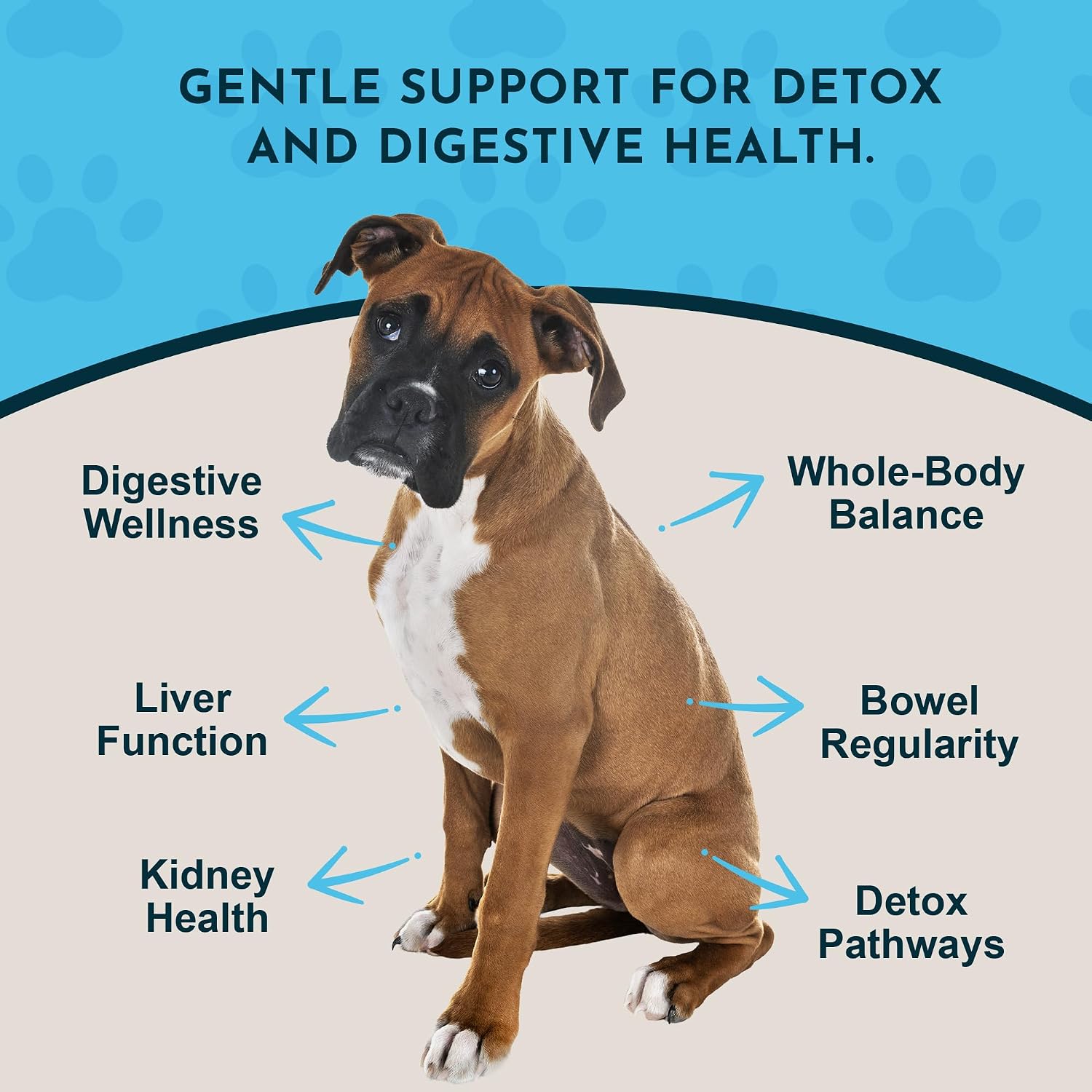 Animal Essentials Body Cleanse Liver Support para Perros y Gatos, 59 ml