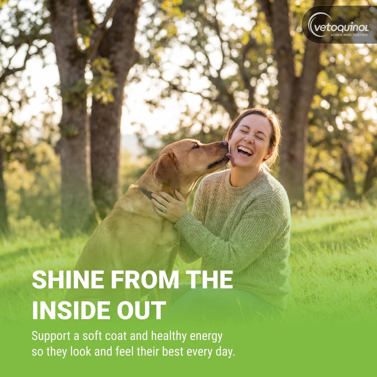 Vetoquinol Triglyceride Omega - Aceite de Pescado para Perros y Gatos - Favorece la Piel Saludable, el Pelaje y la Respuesta Inmunitaria Normal - Suplemento con Mezcla de Vitaminas para el Corazón, los Ojos, los Huesos y los Músculos - 8 oz (237 ml)