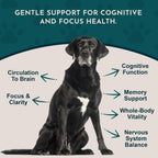 Animal Essentials Brain Awake Fórmula de Apoyo Cognitivo para Perros y Gatos, 30 ml