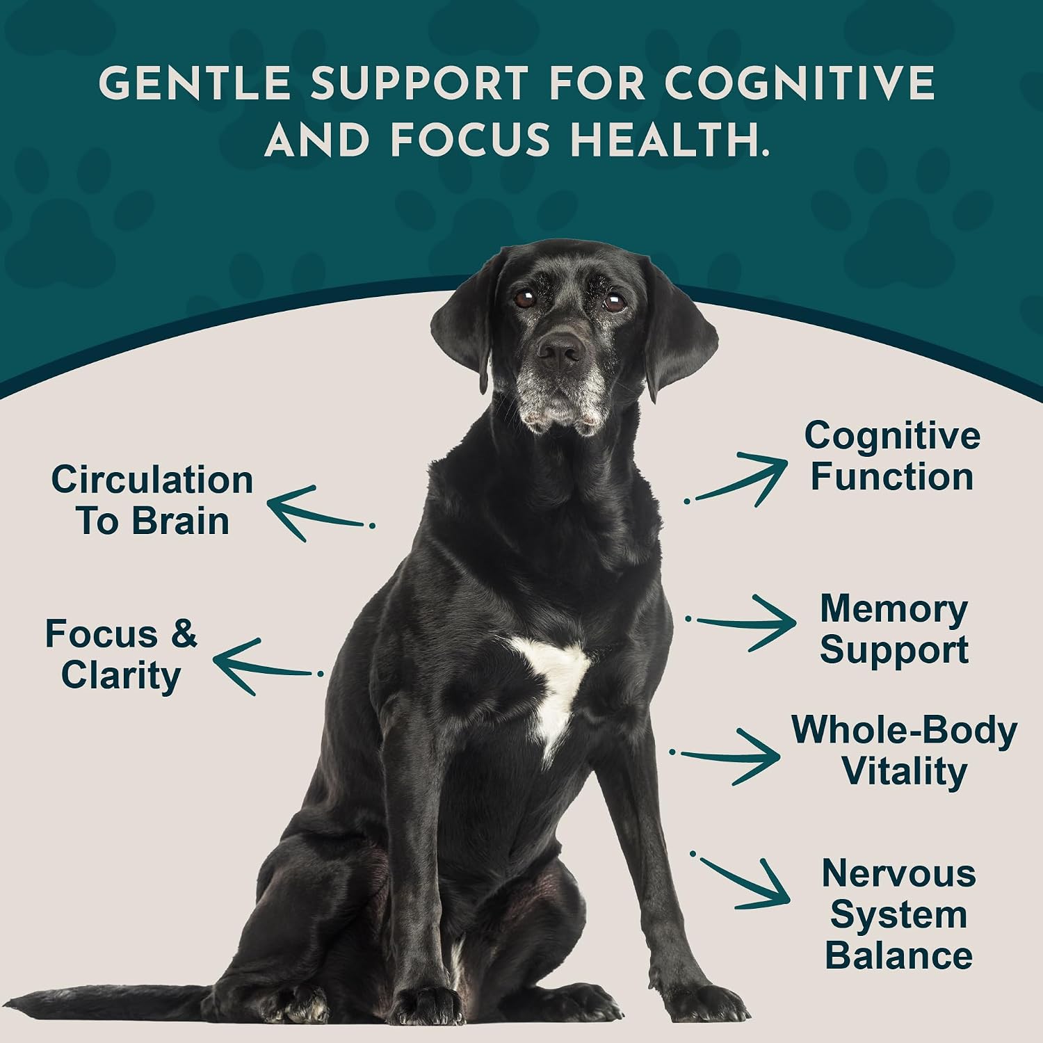 Animal Essentials Brain Awake Fórmula de Apoyo Cognitivo para Perros y Gatos, 30 ml