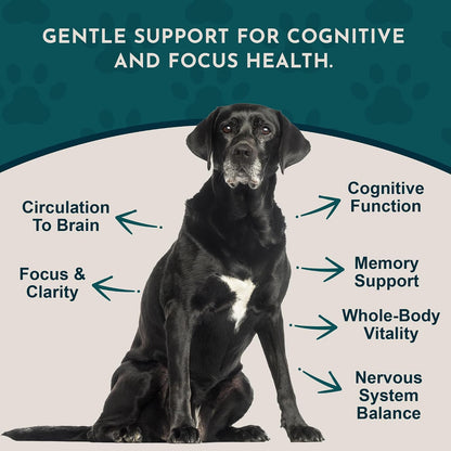 Animal Essentials Brain Awake Fórmula de – Ginkgo biloba: Conocido por mejorar el flujo sanguíneo cerebral, lo que – Image 3