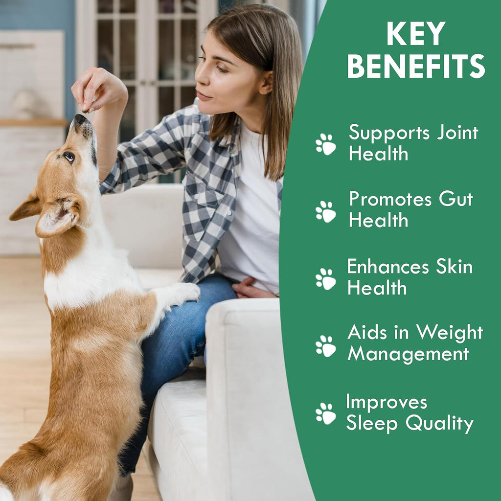 Holistic Bin Canine Chicken Blend Protein Powder Dog Food Toppers | Daily Supplement Powder with Bone Broth, Collagen & Essential Amino | Mobility, Recovery & Overall Wellness | Chicken (50g)