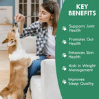 Holistic Bin Canine Chicken Blend Protein Powder Dog Food Toppers | Daily Supplement Powder with Bone Broth, Collagen & Essential Amino | Mobility, Recovery & Overall Wellness | Chicken (50g)