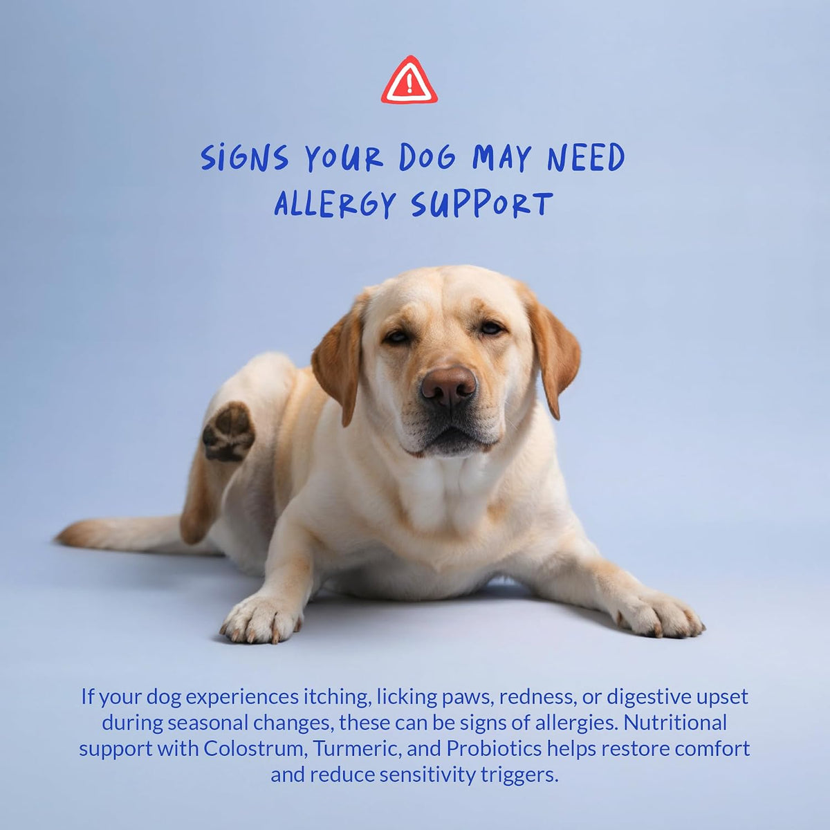 Coco y Luna Alivio para Alergias en Perros - – Probióticos (5 cepas): ayudan a mantener el equilibrio de la flora – Image 4
