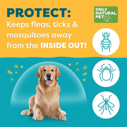 Only Natural Pet EasyDefense Barrier Bites – Complejo de vitaminas B: contribuye al metabolismo energético y a la – Image 3